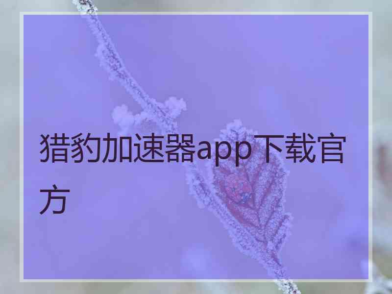 猎豹加速器app下载官方