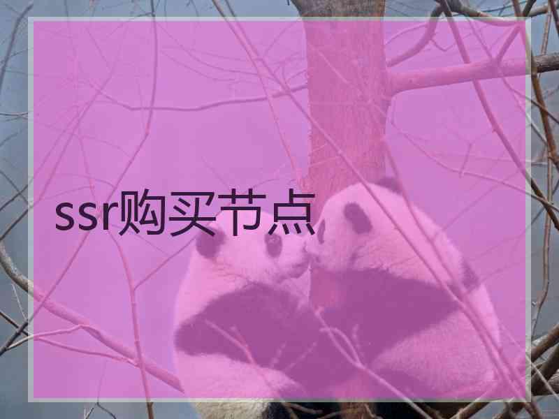 ssr购买节点