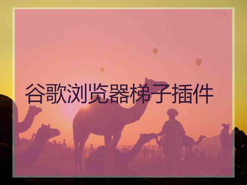 谷歌浏览器梯子插件