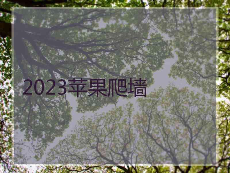 2023苹果爬墙