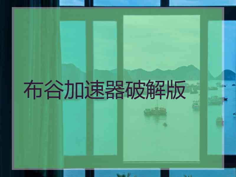 布谷加速器破解版