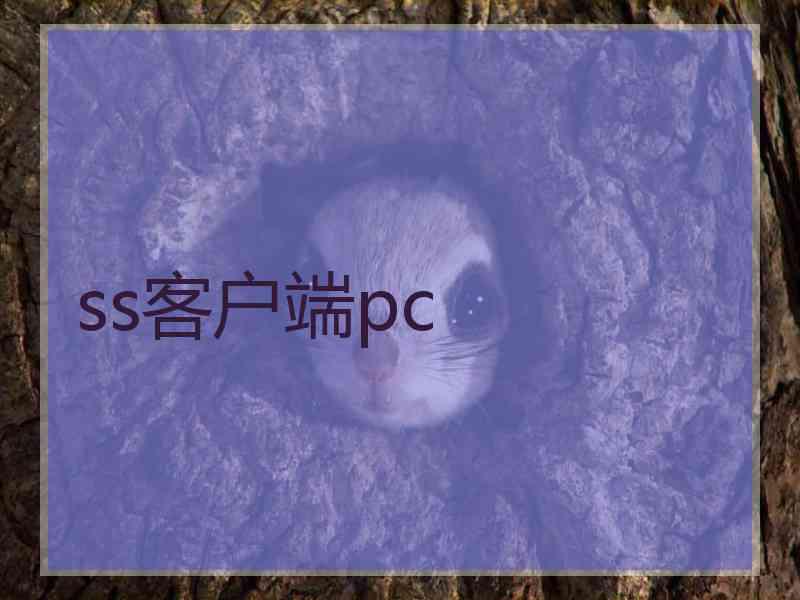 ss客户端pc