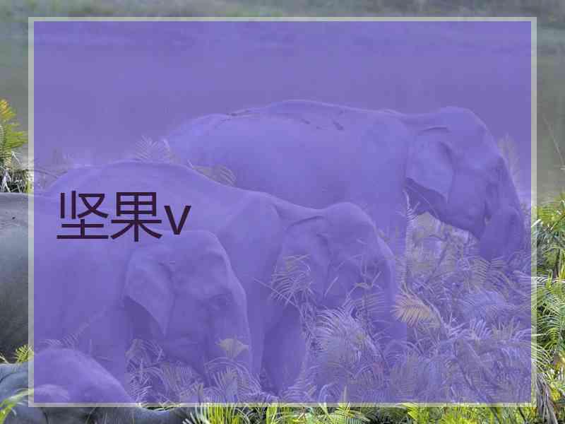 坚果v