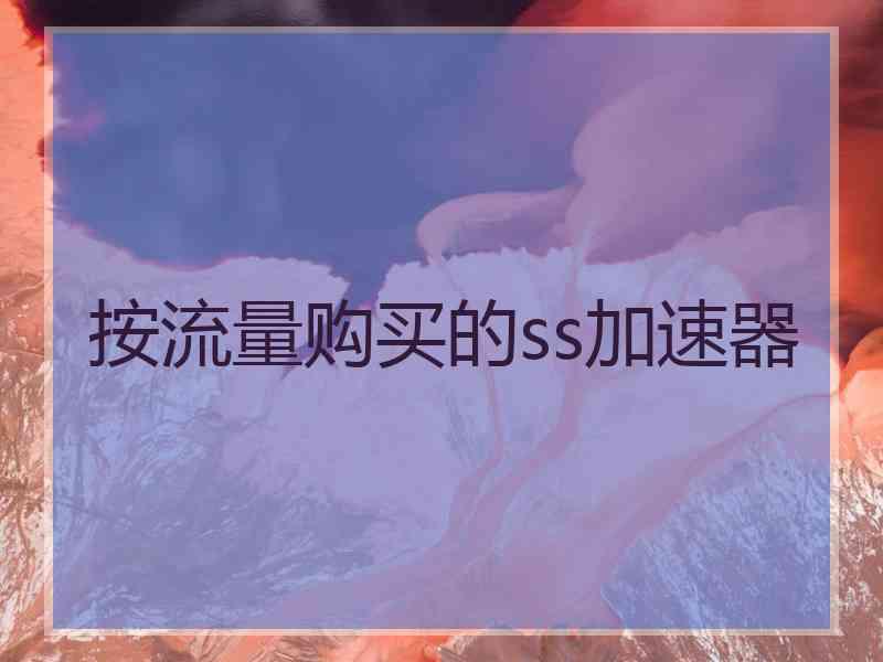 按流量购买的ss加速器
