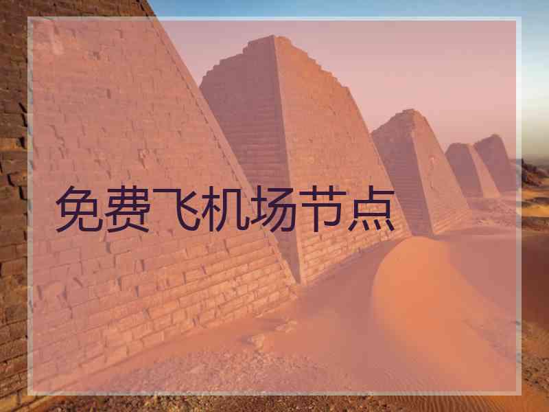 免费飞机场节点